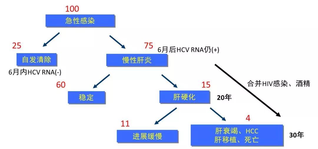丙肝檢測的弱陽性究竟是不是感染了丙肝？